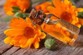 Calendula Extract